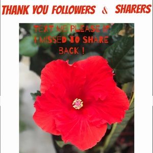 THANK YOU ALL YOU GUYS FOR GOOD VIBES ❣️